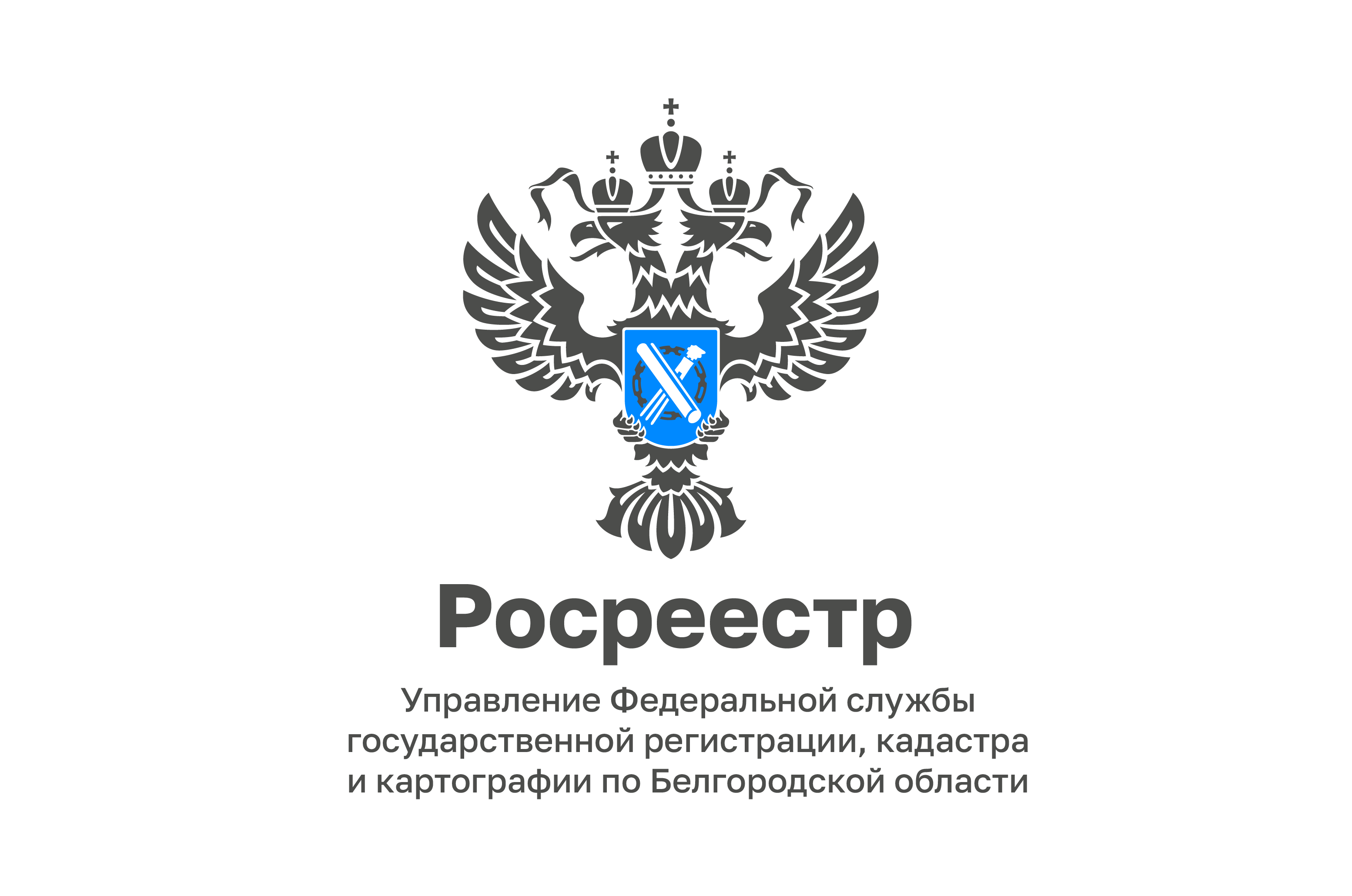 Жители Белгородской области  отдают предпочтение получению сведений из ЕГРН в электронном виде.