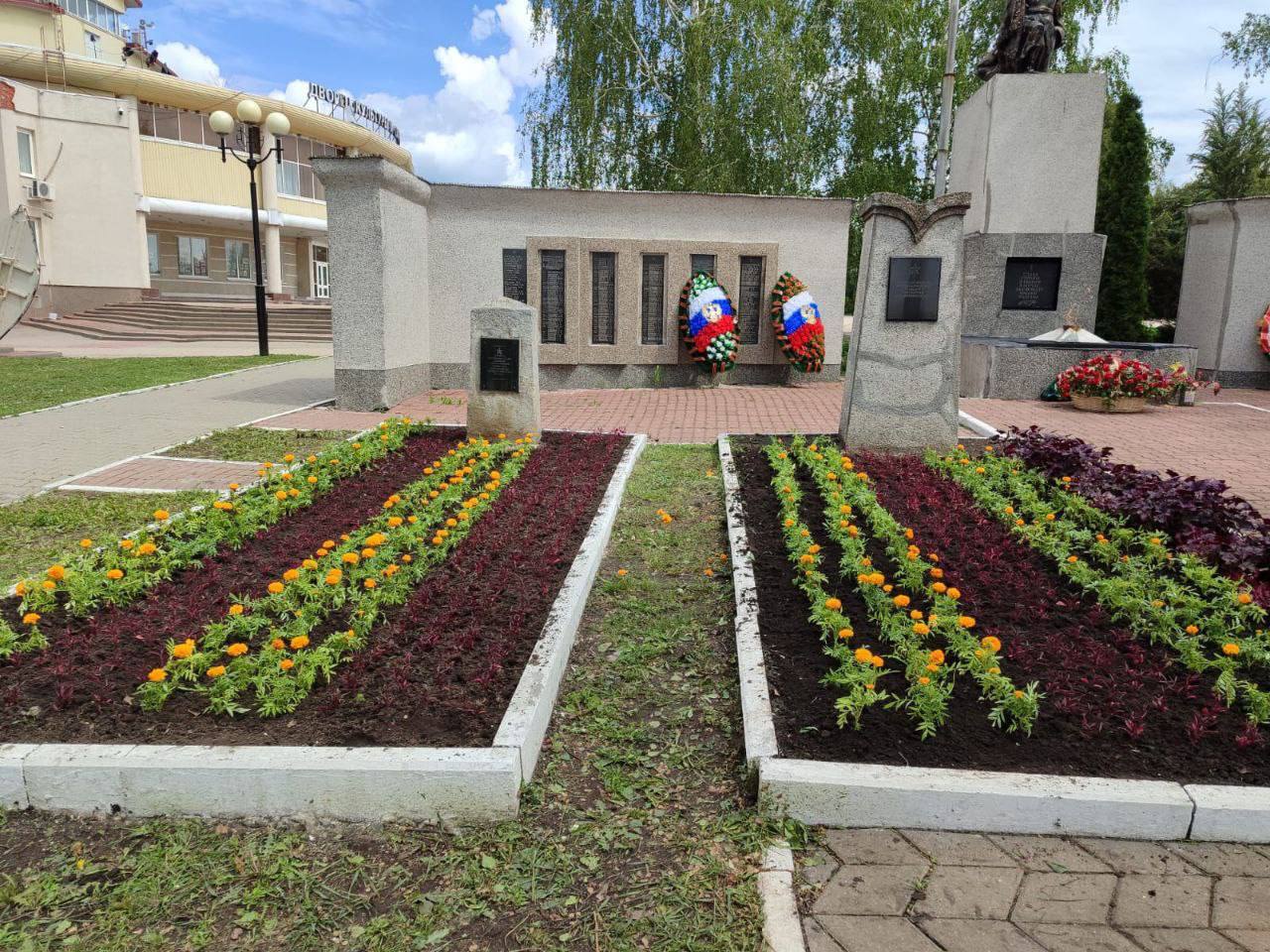 Петунии, бегонии, цинерарии: в Грайворонском округе высадят более 30 тысяч однолетников🌺.