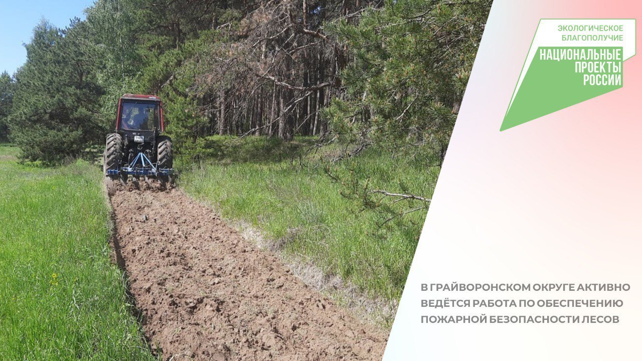 🌲В Грайворонском округе активно ведётся работа по обеспечению пожарной безопасности лесов.