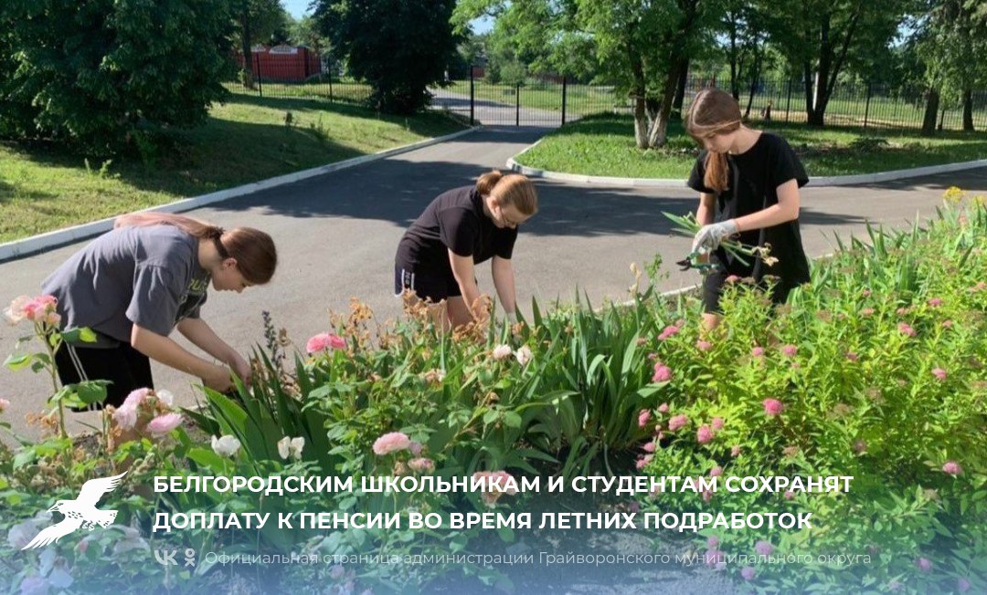 📌Белгородским школьникам и студентам сохранят доплату к пенсии во время летних подработок.