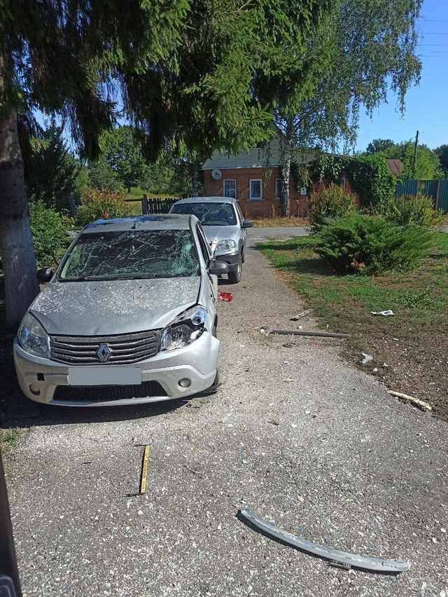 ВСУ атаковали с помощью дрона село Дунайка. Ранены 4 мирных жителя.