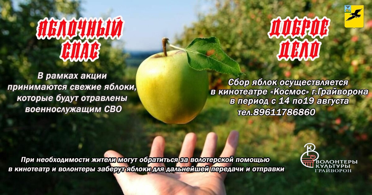 Грайворонцы могут принять участие в акции «Яблочный спас» и поделиться урожаем для отправки бойцам СВО.