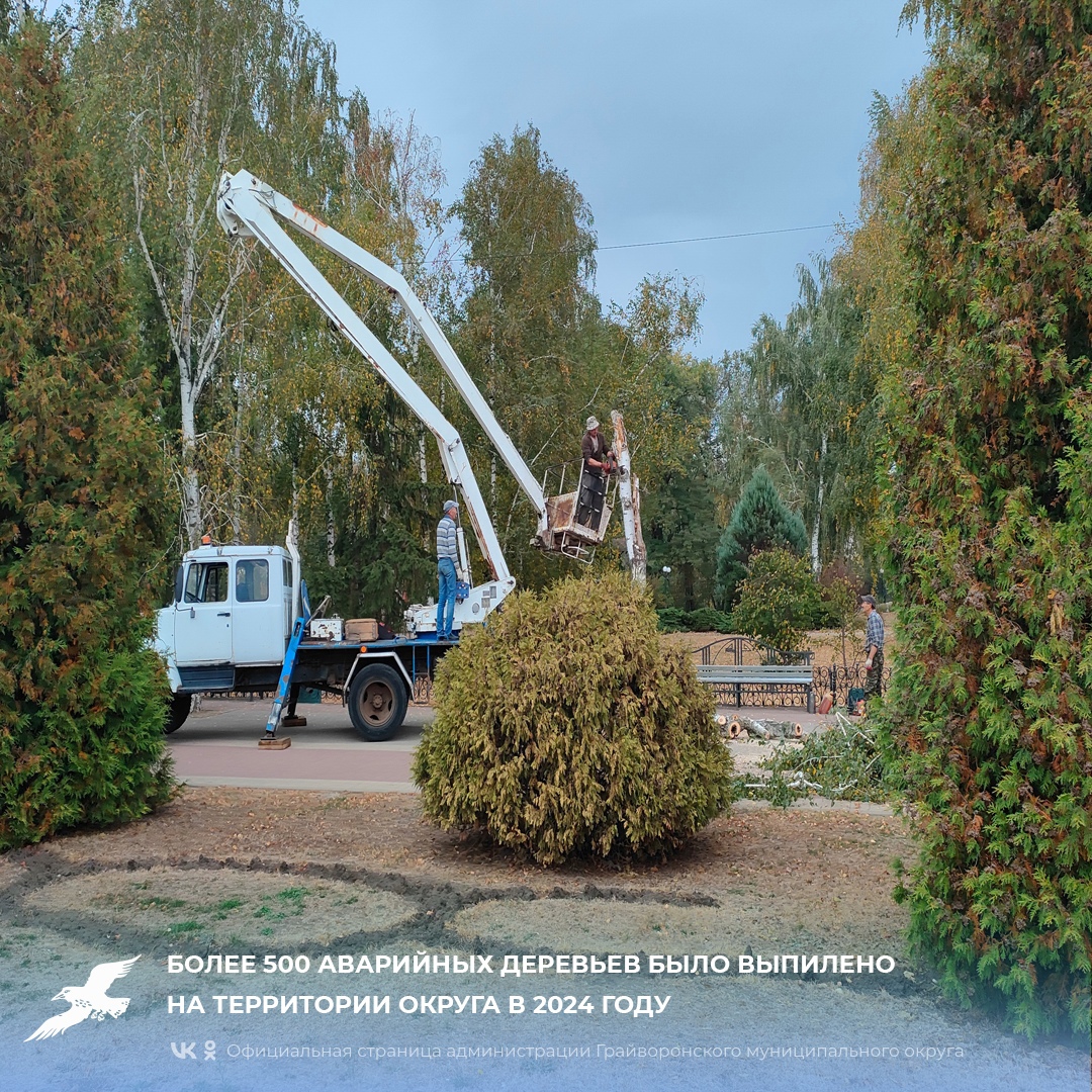 Более 500 аварийных деревьев было выпилено на территории округа в 2024 году🌳.