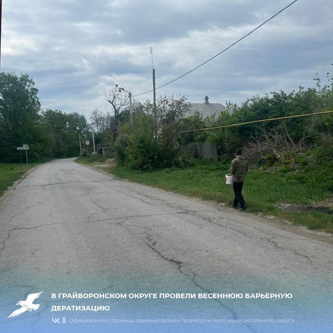 В Грайворонском округе провели весеннюю барьерную дератизацию.