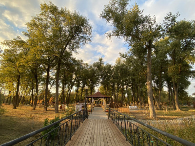 Петровская круча Петровская круча.