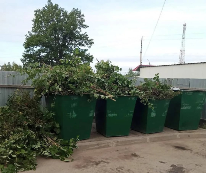 ОТНОСЯТСЯ ЛИ ВЕТКИ К ТВЕРДЫМ КОММУНАЛЬНЫМ ОТХОДАМ?. ОТНОСЯТСЯ ЛИ ВЕТКИ К ТВЕРДЫМ КОММУНАЛЬНЫМ ОТХОДАМ?.