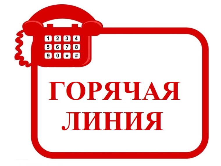 Горячая линия. Горячая линия.