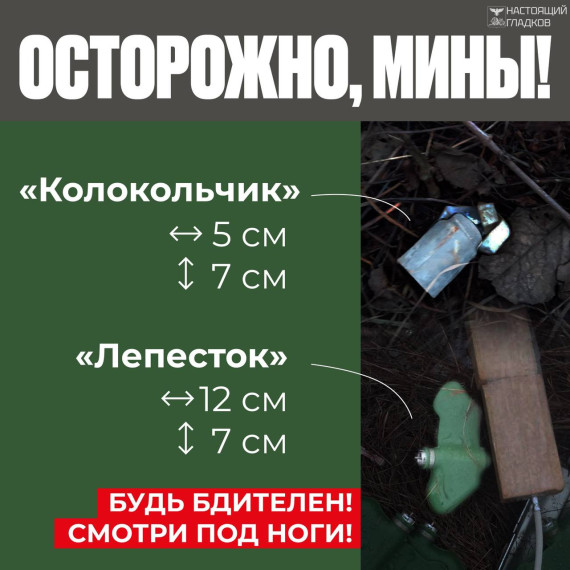 Дорогие жители Белгородской области! Уважаемые родители!. Дорогие жители Белгородской области! Уважаемые родители!.
