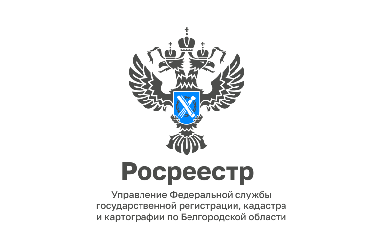 Жители Белгородской области  отдают предпочтение получению сведений из ЕГРН в электронном виде.