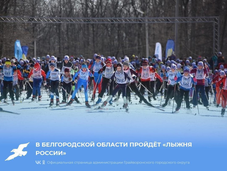 В Белгородской области пройдёт «Лыжня России».
