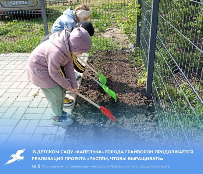 В детском саду «Капелька» города Грайворон продолжается реализация проекта «Растём, чтобы выращивать». В детском саду «Капелька» города Грайворон продолжается реализация проекта «Растём, чтобы выращивать».
