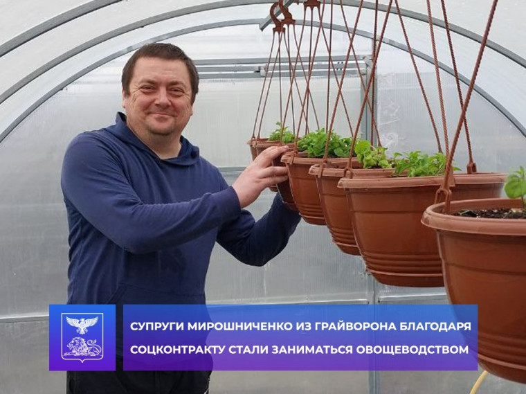 Супруги Мирошниченко из Грайворона благодаря соцконтракту стали заниматься овощеводством.