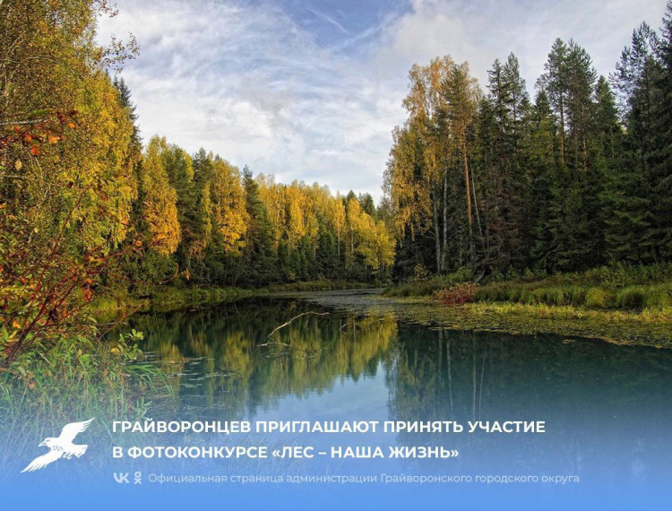 Грайворонцев приглашают принять участие в фотоконкурсе «Лес – наша жизнь». Грайворонцев приглашают принять участие в фотоконкурсе «Лес – наша жизнь».