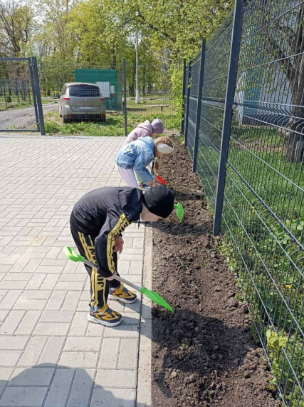 В детском саду «Капелька» города Грайворон продолжается реализация проекта «Растём, чтобы выращивать».