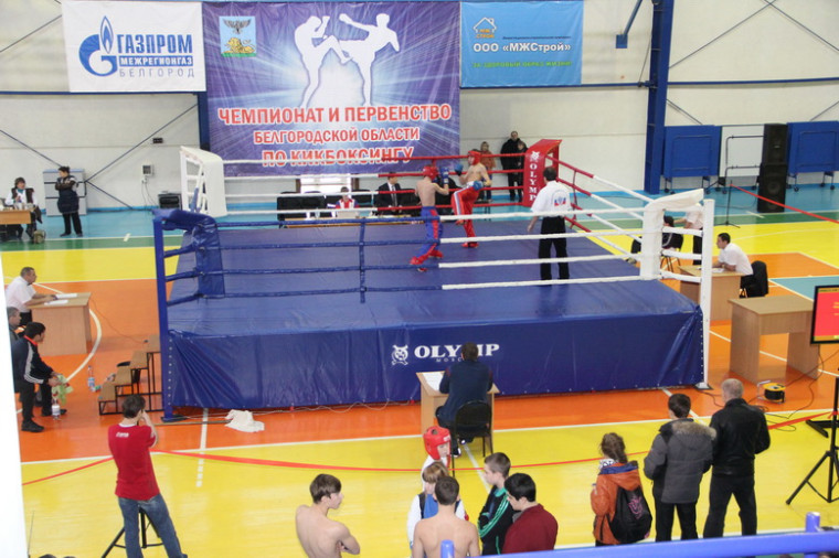 30 января в Грайвороне стартовали открытый Чемпионат и Первенство Белгородской области  по кикбоксингу..