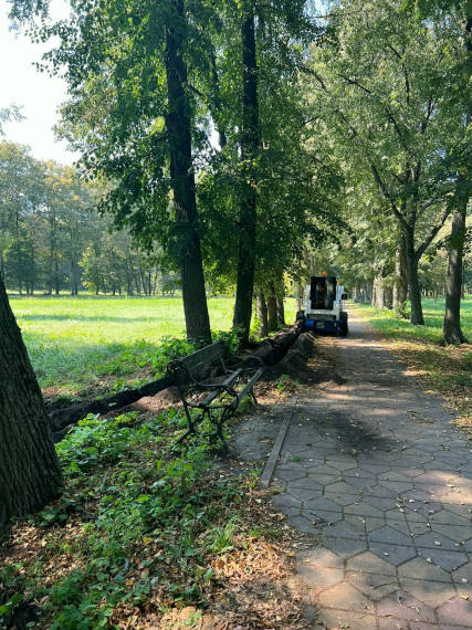 В парке XIX века в селе Головчино станет светлее.