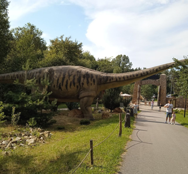 Прошла заключительная поездка в Парк динозавров в рамках проекта «Все невZгоды осилим Vместе».
