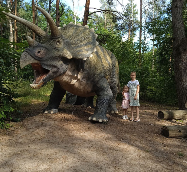 Прошла заключительная поездка в Парк динозавров в рамках проекта «Все невZгоды осилим Vместе».