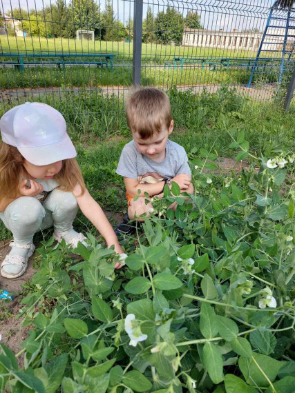 В детском саду «Капелька» поспел урожай.